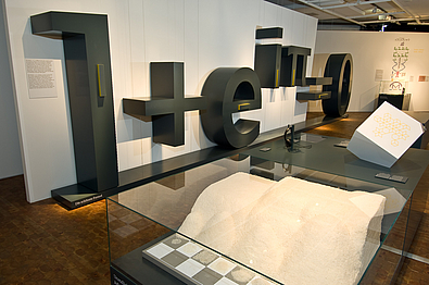 View into the theme room "limits"